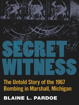 cover image of Secret Witness